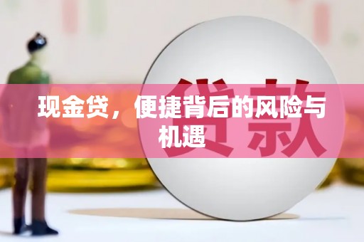 南郊现金贷，便捷背后的风险与机遇