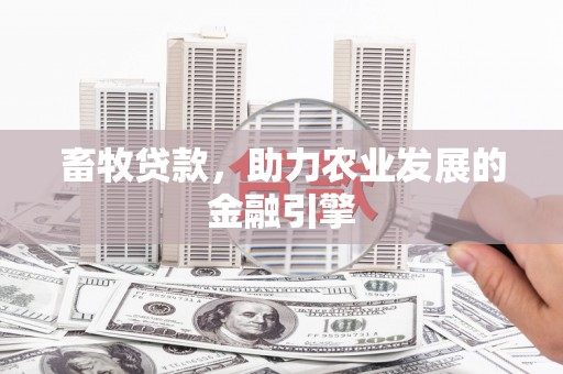 南郊畜牧贷款，助力农业发展的金融引擎