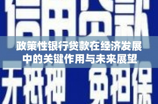 南郊政策性银行贷款在经济发展中的关键作用与未来展望