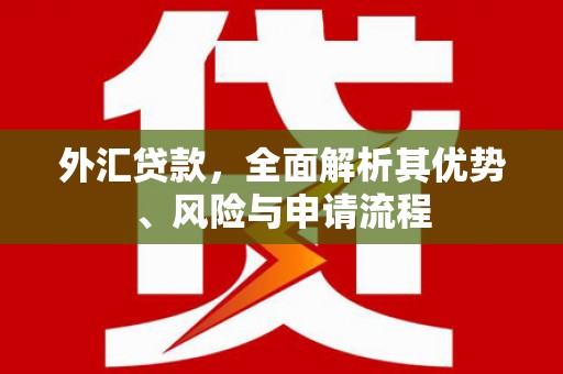 南郊外汇贷款，全面解析其优势、风险与申请流程