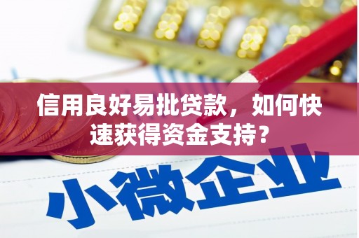 南郊信用良好易批贷款，如何快速获得资金支持？