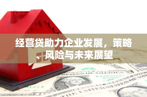南郊经营贷助力企业发展，策略、风险与未来展望