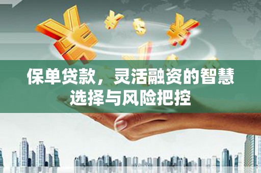南郊保单贷款，灵活融资的智慧选择与风险把控