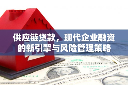 南郊供应链贷款，现代企业融资的新引擎与风险管理策略