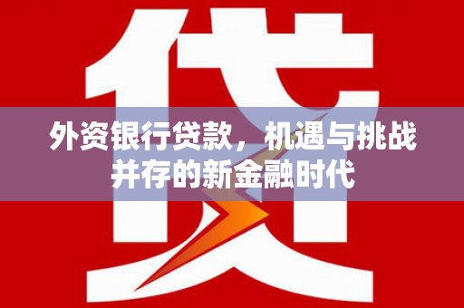 南郊外资银行贷款，机遇与挑战并存的新金融时代