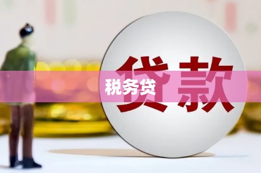 南郊税务贷