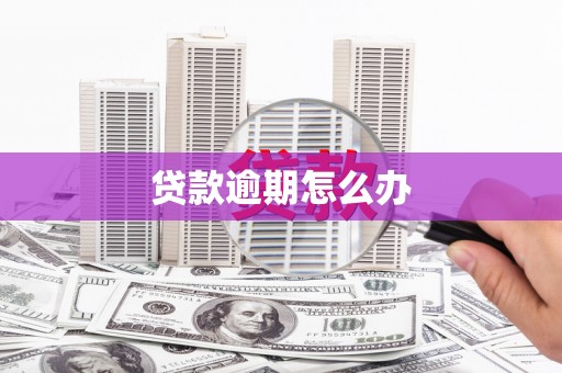 南郊贷款逾期怎么办