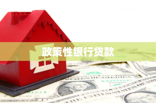 南郊政策性银行贷款
