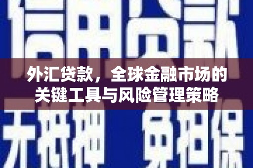 南郊外汇贷款，全球金融市场的关键工具与风险管理策略