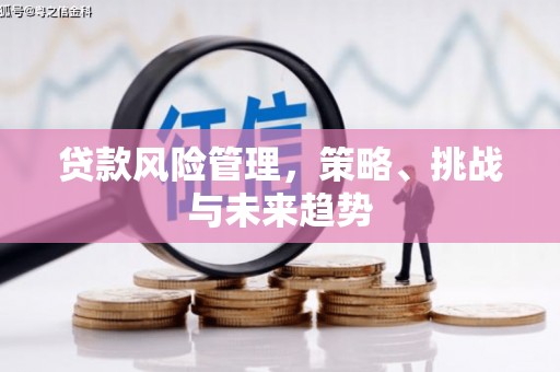 南郊贷款风险管理，策略、挑战与未来趋势