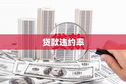 南郊贷款违约率