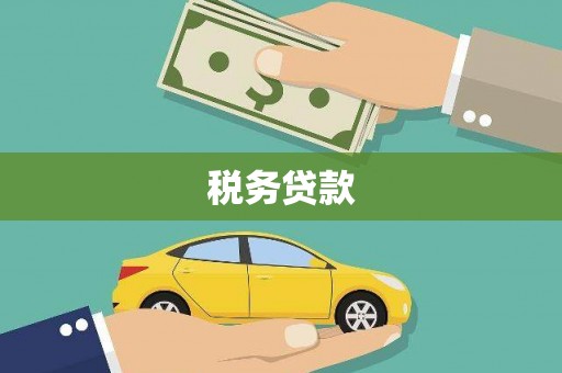 南郊税务贷款