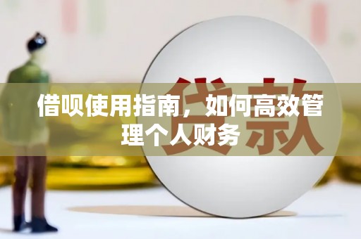 南郊借呗使用指南，如何高效管理个人财务