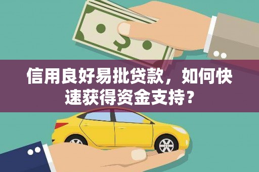 南郊信用良好易批贷款，如何快速获得资金支持？