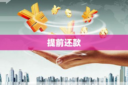 南郊提前还款