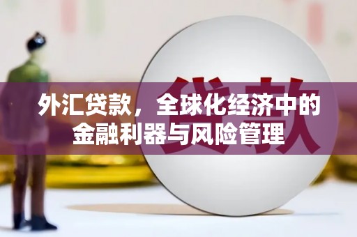 南郊外汇贷款，全球化经济中的金融利器与风险管理