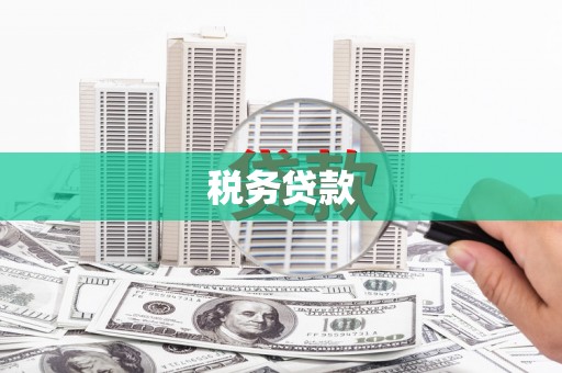南郊税务贷款