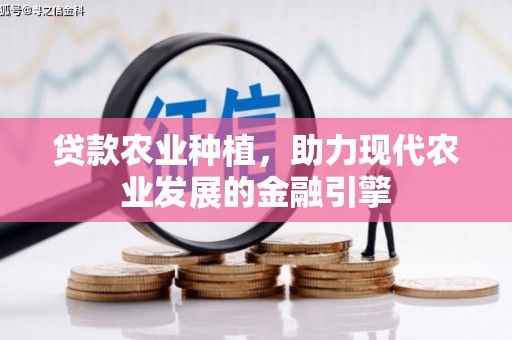 南郊贷款农业种植，助力现代农业发展的金融引擎