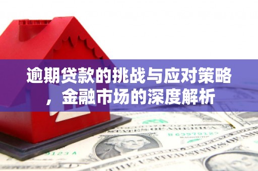南郊逾期贷款的挑战与应对策略，金融市场的深度解析
