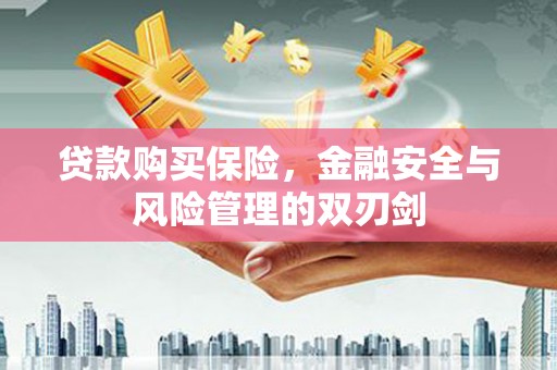 南郊贷款购买保险，金融安全与风险管理的双刃剑