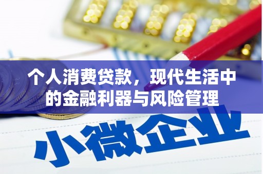 南郊个人消费贷款，现代生活中的金融利器与风险管理