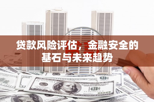 南郊贷款风险评估，金融安全的基石与未来趋势