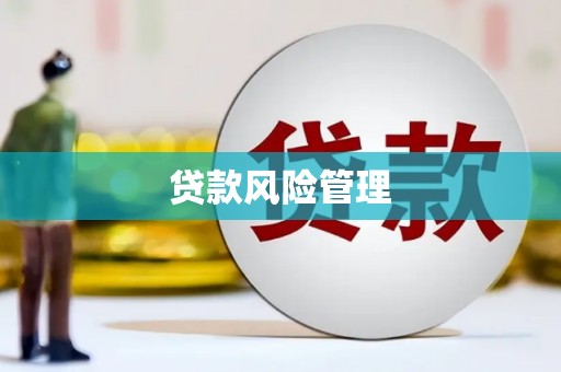 南郊贷款风险管理