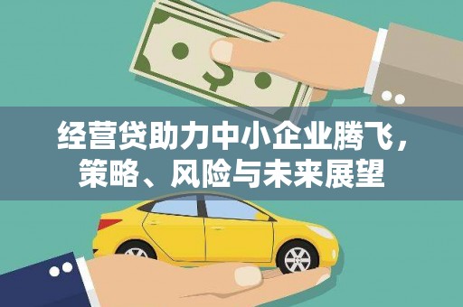 南郊经营贷助力中小企业腾飞，策略、风险与未来展望