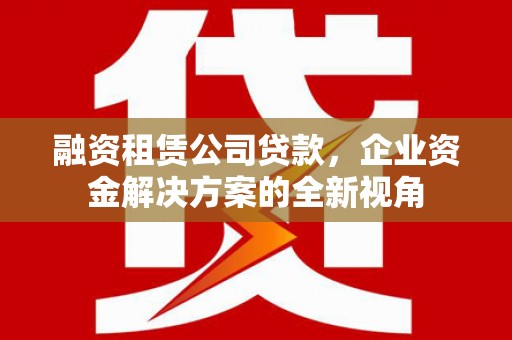 南郊融资租赁公司贷款，企业资金解决方案的全新视角