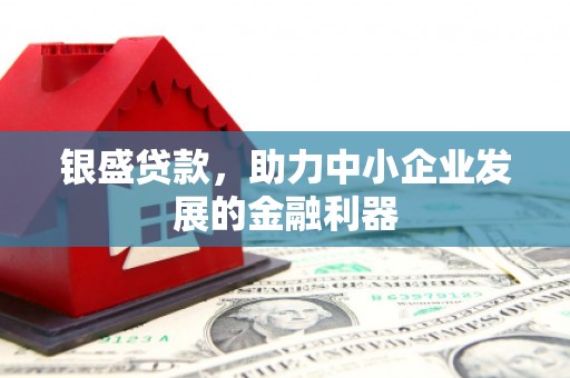 南郊银盛贷款，助力中小企业发展的金融利器