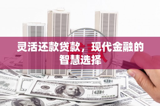 南郊灵活还款贷款，现代金融的智慧选择