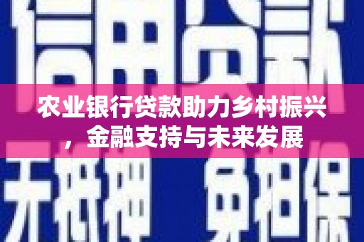 南郊农业银行贷款助力乡村振兴，金融支持与未来发展