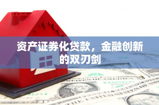 南郊资产证券化贷款，金融创新的双刃剑