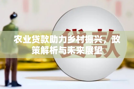 南郊农业贷款助力乡村振兴，政策解析与未来展望