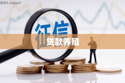 南郊贷款养殖