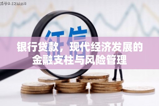 南郊银行贷款，现代经济发展的金融支柱与风险管理