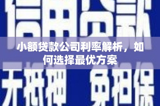 南郊小额贷款公司利率解析，如何选择最优方案