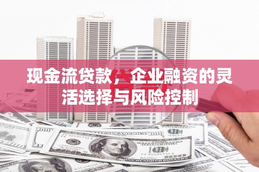 南郊现金流贷款，企业融资的灵活选择与风险控制