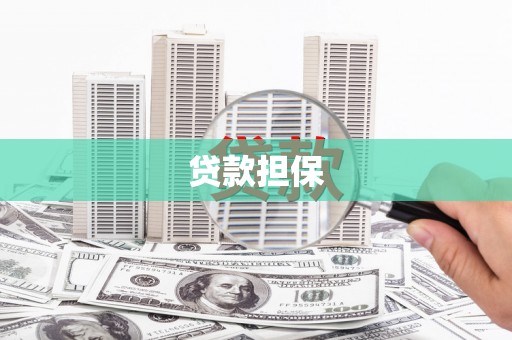 南郊贷款担保
