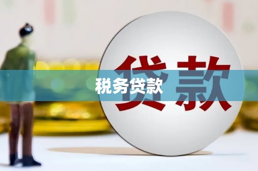 南郊税务贷款