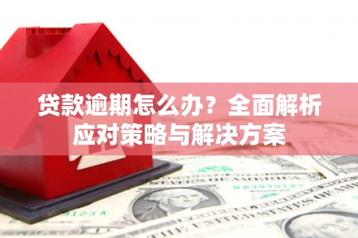 南郊贷款逾期怎么办？全面解析应对策略与解决方案