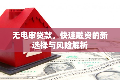 南郊无电审贷款，快速融资的新选择与风险解析