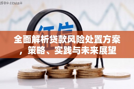 南郊全面解析贷款风险处置方案，策略、实践与未来展望