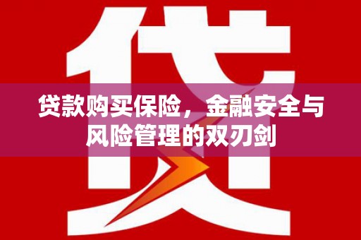 南郊贷款购买保险，金融安全与风险管理的双刃剑
