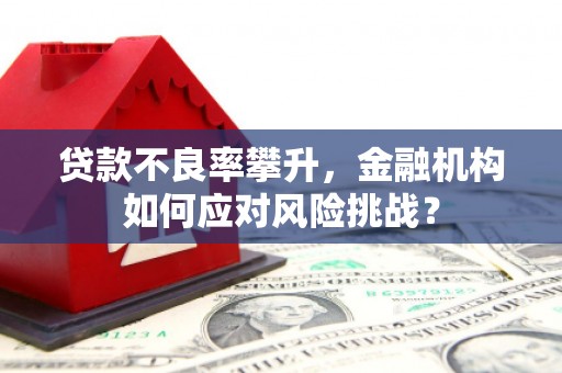 南郊贷款不良率攀升，金融机构如何应对风险挑战？