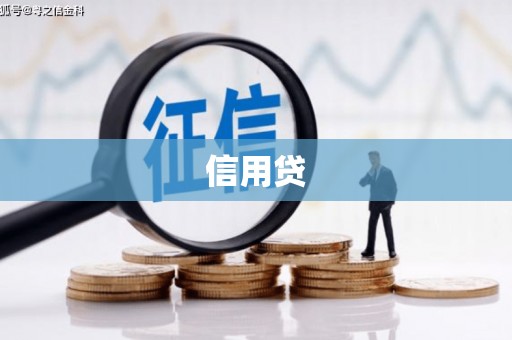 南郊信用贷