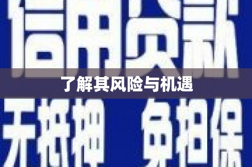南郊了解其风险与机遇