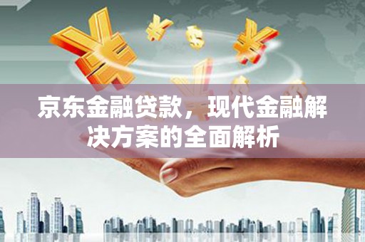 南郊京东金融贷款，现代金融解决方案的全面解析