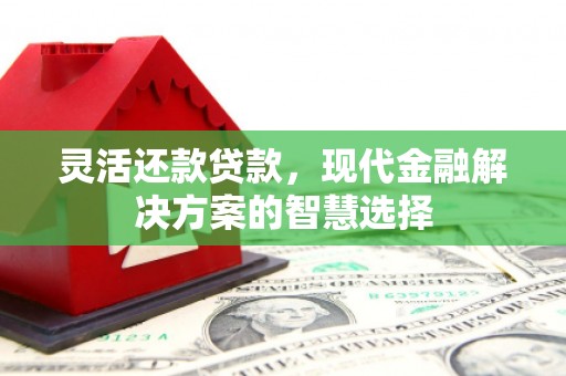 南郊灵活还款贷款，现代金融解决方案的智慧选择