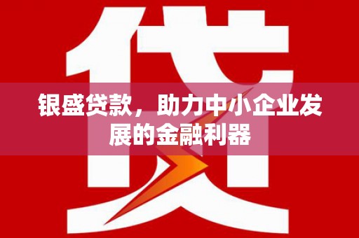 南郊银盛贷款，助力中小企业发展的金融利器